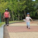 3.1.공원 이미지