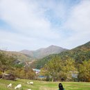 산 당구장 | 강원도 가을 단풍 여행 태백호텔 가족 숙소 수영장 조식 후기