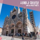 세계장애인문화복지진흥회 | 시에나 대성당 OPA SI PASS 장애인 무료이용 후기
