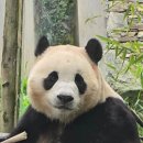 (주)판다미디어