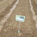 고일농장 이미지