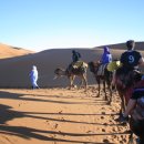[세계여행중 정환님] 7. Sahara Desert 사하라 사막 - 북 아프리카의 진주 모로코 이미지