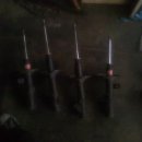 (주)가야바이오 이미지