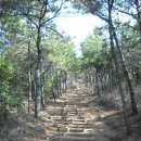 안심초등학교 이미지