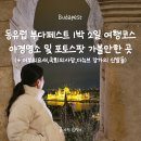 부다페스트 1박 2일 여행 코스소개 야경 명소 및 포토스팟, 야경스냅촬영 가능!가볼만한 곳 추천(어부의...