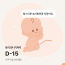 11545-10-25-37 | 임신 37주: 37주 배크기 태아크기 태동영상 안산베이비하우스 육아용품준비 육아용품당근템