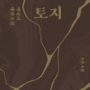 편안한김약국 | [박경리 작가 독서챌린지 토지 6기 - 완독 후기] 40/40 - 5부 5권 (2)