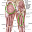 동작하이퍼 이미지