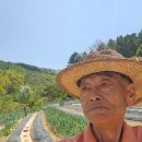 논이랑 밭이랑