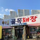 광주 문흥동고기집 골목돼장 특수부위 뒷고기모듬 먹은 후기