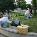 황새울공원 내 이미지