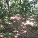 도룡마을 이미지