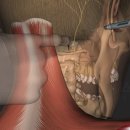 경희윤당한의원 이미지