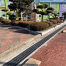 강진작천초등학교 이미지