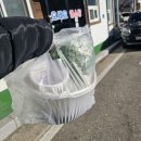 오세요염소탕