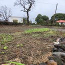 해변오락실 이미지