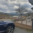 코코블리 애견운동장 이미지