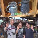 대중도기 이미지