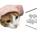 오가내한우곱창 이미지