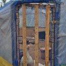 개인사유지 | 김해 개인사유지 수국정원 방문 후기 / 개방 기간