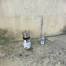 고기아형님과 몸보신준비중 이미지