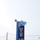 경포블루비치펜션 이미지