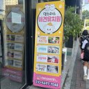 댕스미스 | 대구 침산동 반려견 유치원 <댕스미스> 방문 후기