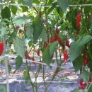 청량고등학교 이미지