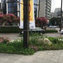 서초역일대 이미지