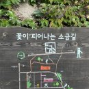 마포나루떡집 이미지