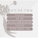 홍삼세상 - 창원시 성산구 용지로 225 | 홍삼세상
