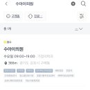수아이
