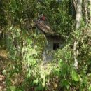 당진시 밤절로 이미지