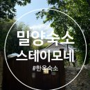 스테이모네 | [밀양숙소] 밀양 갬성숙소 &#39;스테이모네&#39; 후기