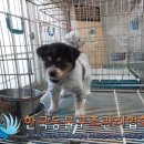 사우중로 이미지