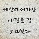 책에서 발견한 [짧은생각-102] “묘비 위 까마귀 검은 눈 반짝이며 오늘을 묻는다!” 이미지