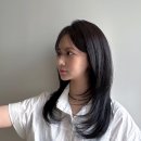 정혜영헤어 네이버블로그