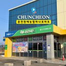 춘천농협하나로마트 | 춘천농협 하나로마트 춘천원예농협 정보와 캠핑 장보기 추천