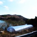 마중물 농장 이미지