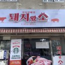 돼지가왔소 이미지