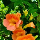 풍수지리 이미지