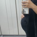 공공용 27 | [임신 27주차] 27주차 배크기, 공공산후조리원 신청, 임당재검, 임산부 독감예방접종