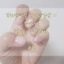 슈니네일 이미지