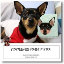 인물나개 | 강아지초상화, 미니핀 라라 캔버스액자 주문후기&lt;헌블리키&gt;