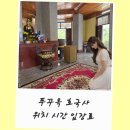 호국사 | 푸꾸옥 호국사 위치 그랩 시간 가격 입장료 후기