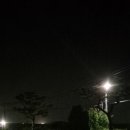 조경기능사(야간) 이미지