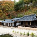 기사길(예안면) 네이버블로그
