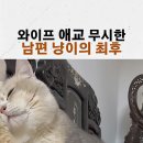 왜 그렇게 무뚝뚝하냥 이미지