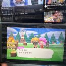 돈웅 | 영양사 전종현