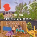 펠리시떼 네이버블로그
